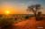 Afrika Namibia Rundreise – Wilde Weiten und Große Momente erleben * 14 Tage inkl. Flug * November 2026 – April 2027